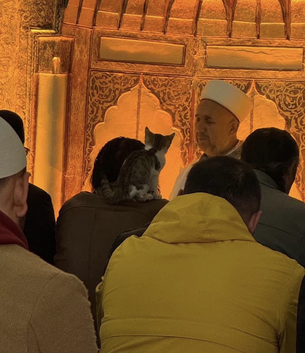 ÜFTADE HAZRETLERİ CAMİİ İMAMI HALİL YÜCEL MUSTAFAKEMALPAŞA’YA GELİYOR